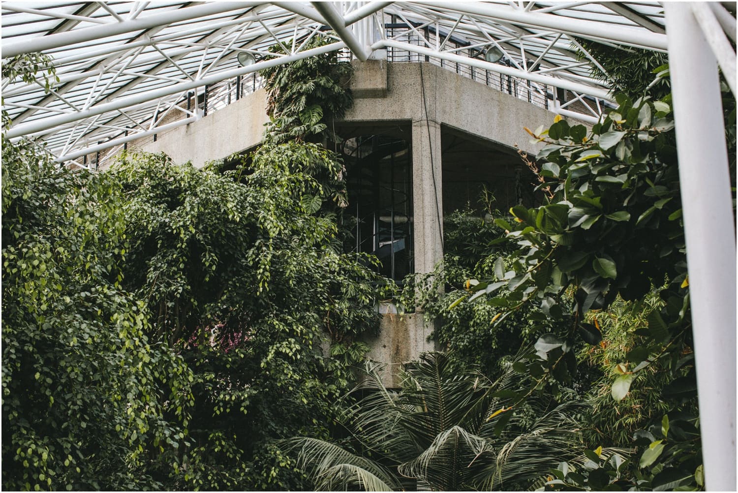 Barbican Centre Conservatory Wedding